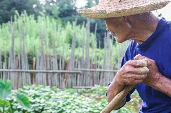 農村老人的人生智慧：從劉大爺的故事看時代變遷